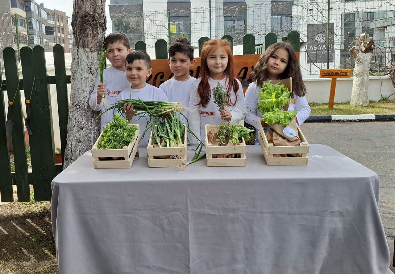 Whats App Image 2026 04 09 At 11.54.47