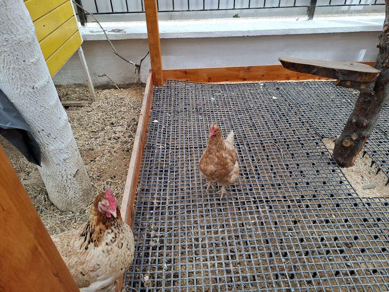 Whats App Image 2026 04 09 At 11.54.48 (1)