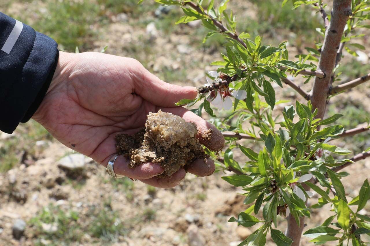 Whats App Image 2026 04 29 At 11.24.00