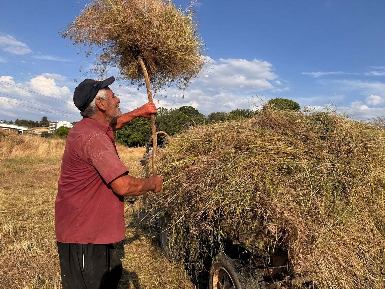 A W728134 03