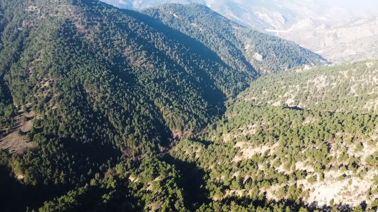 Alpagut Maden Sahası.