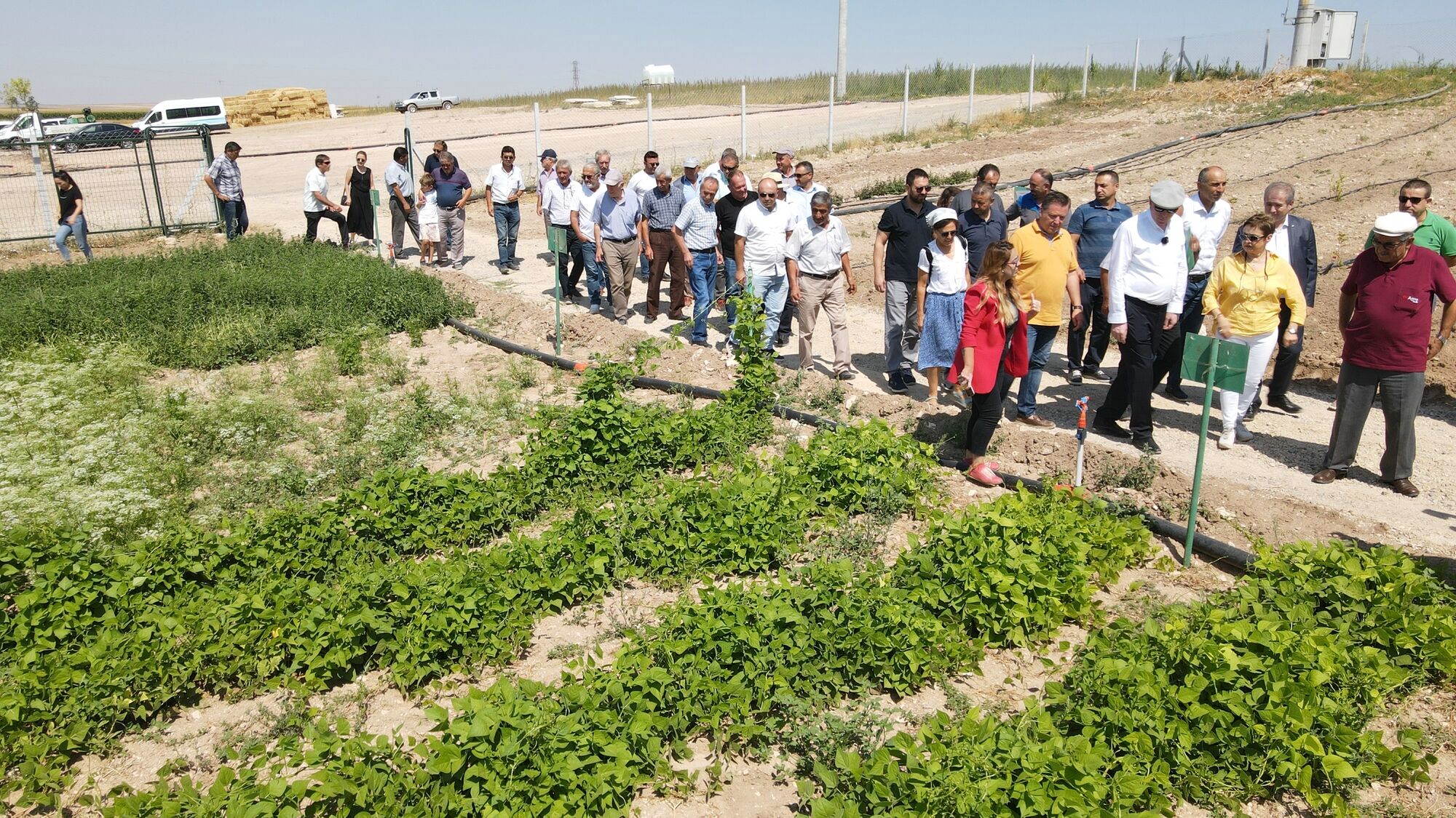 Arşiv Fotoğrafı (4)-2
