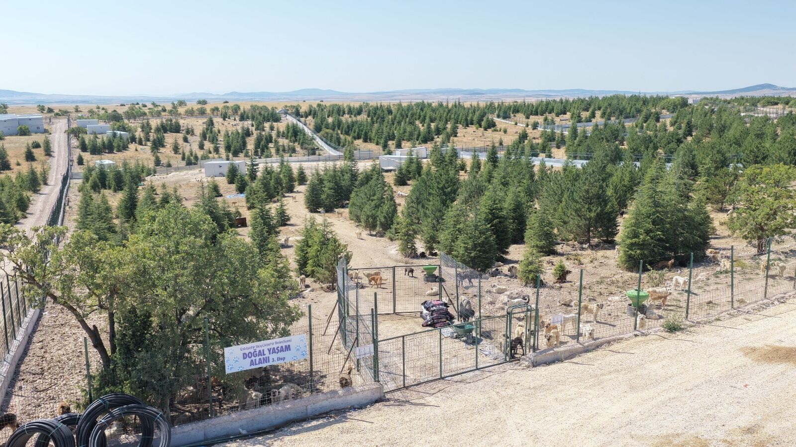 Kiravdanda Sahi̇psi̇z Hayvanlar İçi̇n Doğayla İç İçe Yaşam Alani (1)