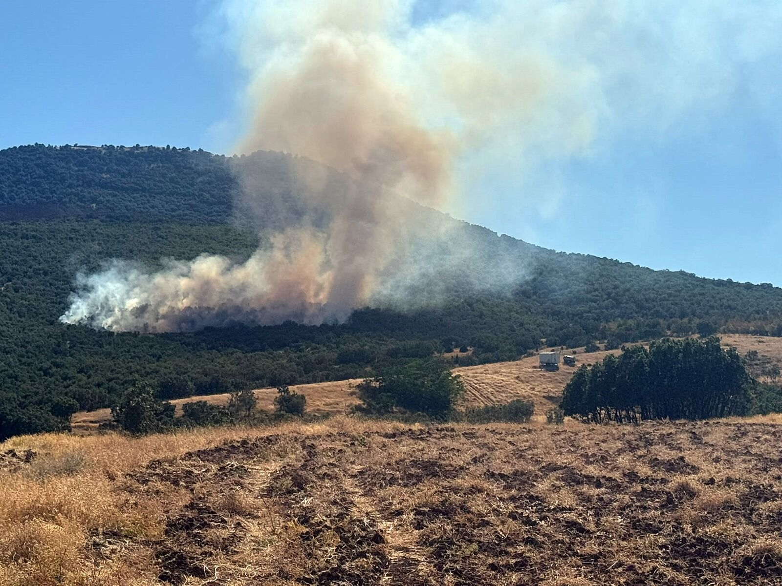 Mihalıççık’taki orman yangınına havadan ve karadan müdahale