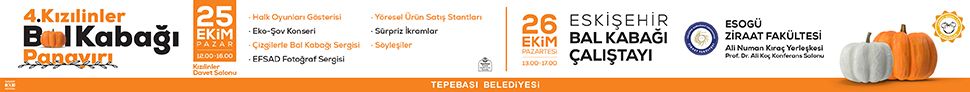 Reklam Bloğu