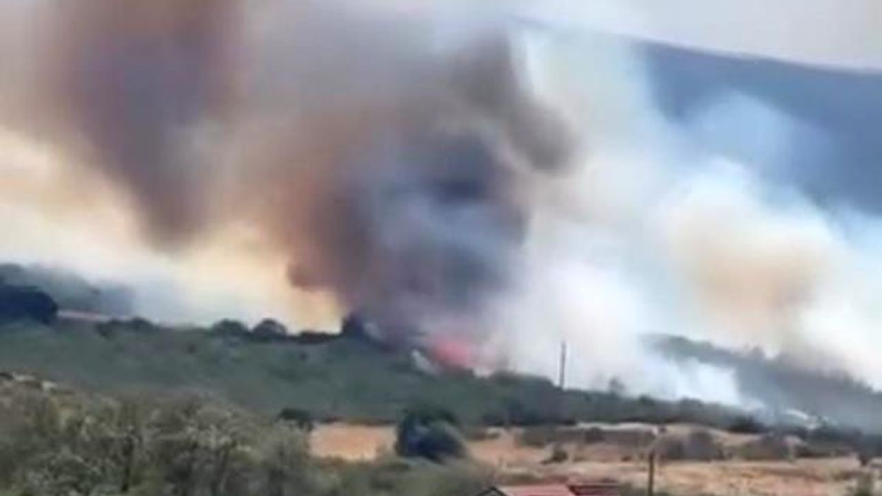 Bursa’da orman yangını, çok sayıda ekip müdahale ediyor