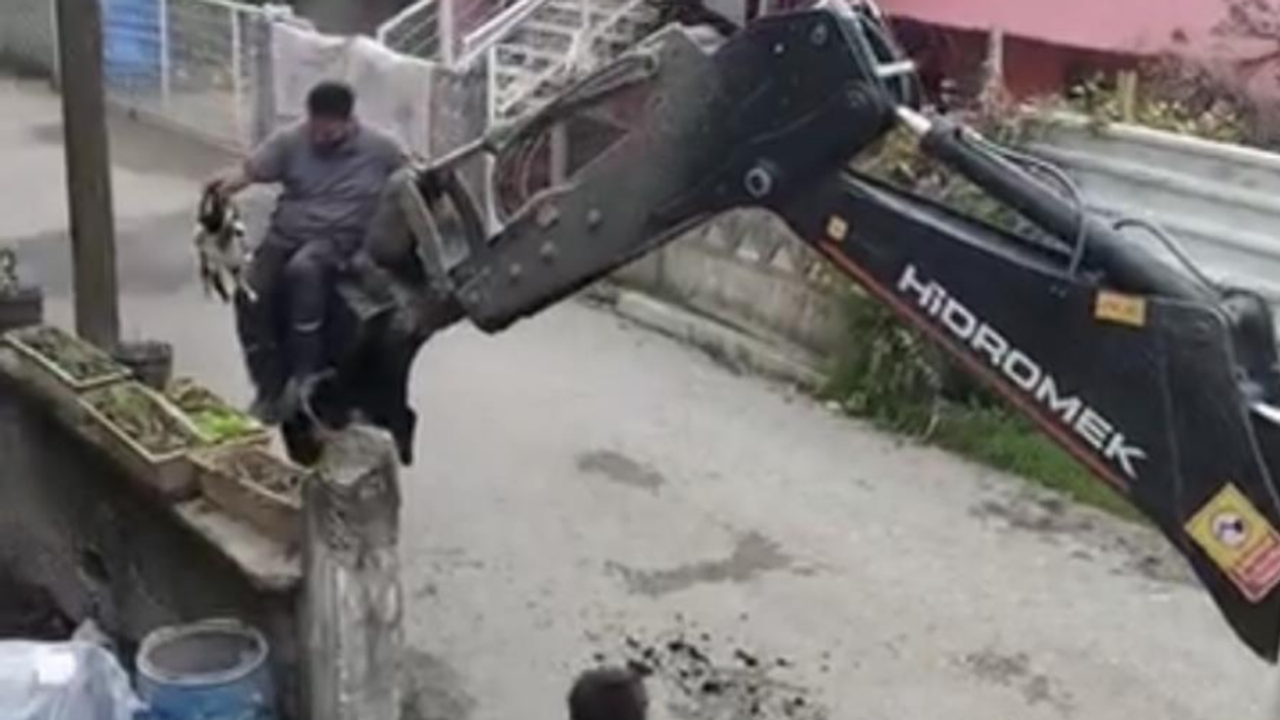 Köpeklerden kaçtı, direkte mahsur kaldı