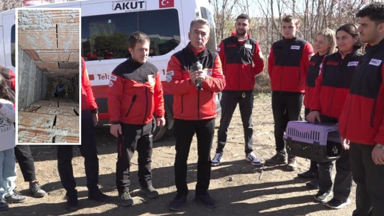Eskişehir’de ekipler 4 gündür mahsur kalan güvercini kurtardı