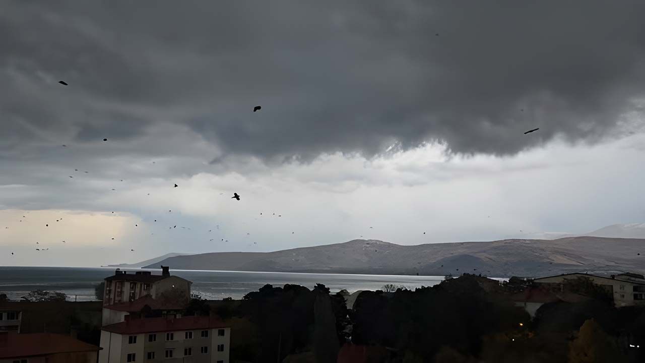 Tatvan’da binlerce karga gökyüzünü kapladı