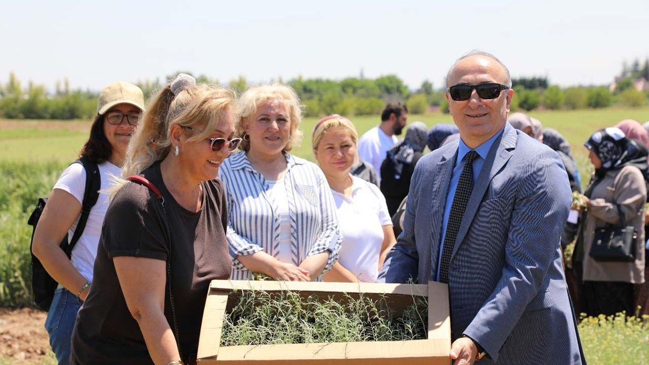 Bozkırların altın çiçeğinde hasat sevinci
