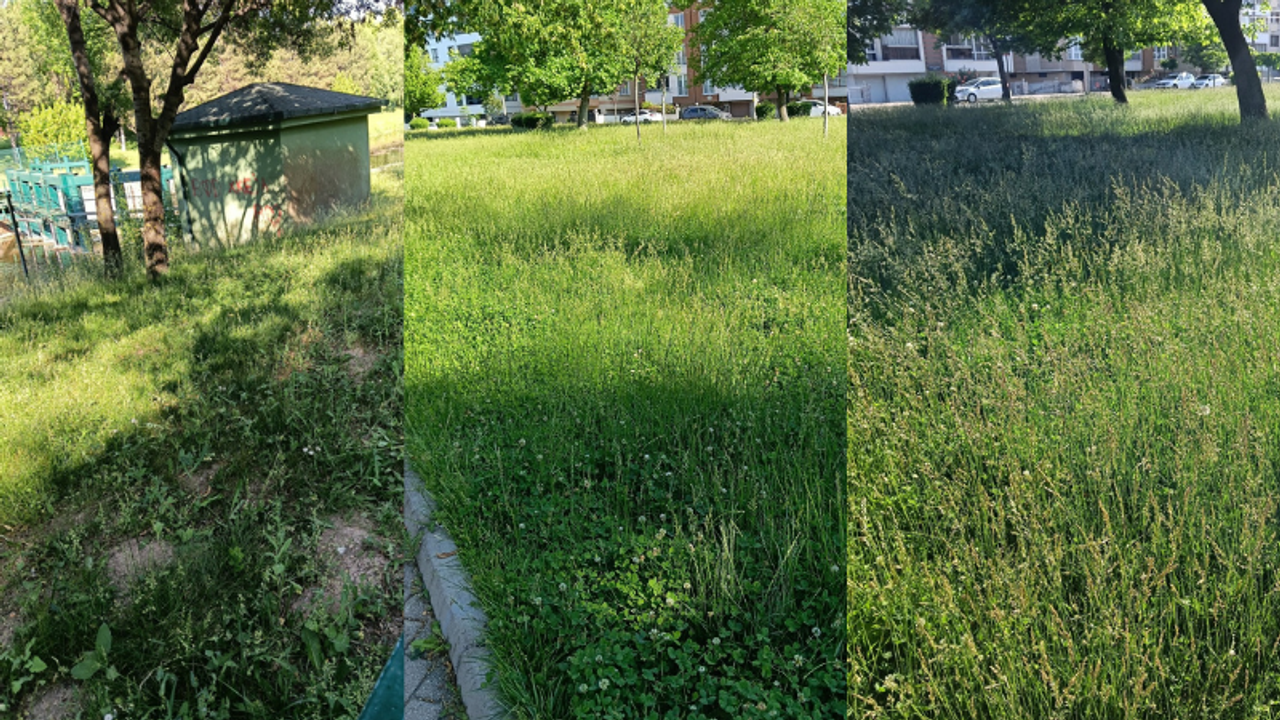 Eskişehir’de park bakımı ve Porsuk temizliği gündemde: Anaht