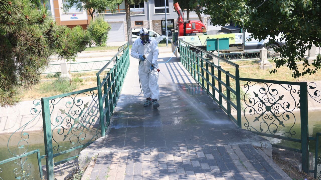Odunpazarı Belediyesi ilaçlama çalışmalarına hız verdi