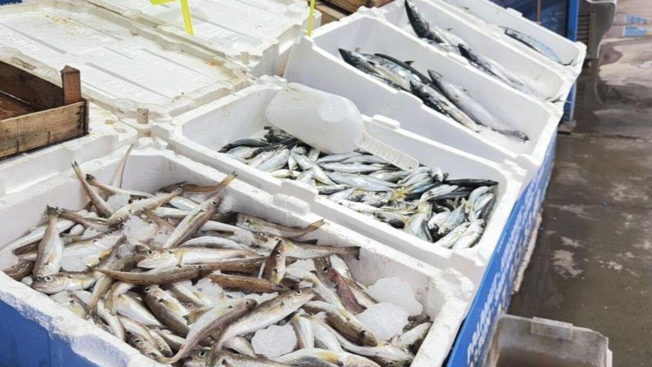Fırtına balık tezgahlarını hareketlendirdi: Karaburun’da palamut bolluğu