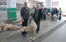 Tepebaşı Belediyesi’nin kurban kesim alanına yoğun ilgi