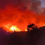 Hatay'da orman yangını