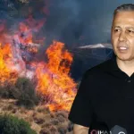 Bakan Yerlikaya: "Çanakkale’deki orman yangınlarında mahsur kalan 348 vatandaş kurtarıldı"