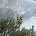 Karabük'teki yangınla ilgili 5 kişi gözaltına alındı