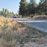 Eskişehir’de yol kenarındaki kurumuş otlar yangın tehlikesi oluşturuyor