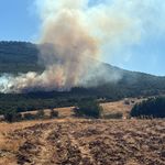 Mihalıççık’taki orman yangınına havadan ve karadan müdahale