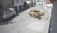 Kızgın boğa, otomobili boynuzlayıp böyle sürükledi