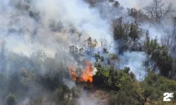 Hatay'da çıkan yangınla ilgili şok gelişme!