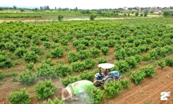 Eskişehir Büyükşehir’den üreticiye destek