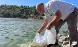 30 bin yavru sazan balığı bırakıldı