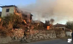 Alevlerin içinde kalan köpekler telef oldu