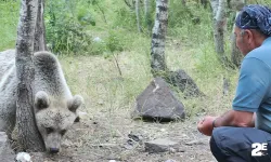 Bozayıyı kendi elleriyle besledi