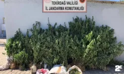 Ekipler uyuşturucuya geçit vermedi