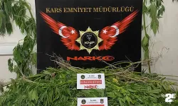 Esrar ve hint keneviri operasyonu