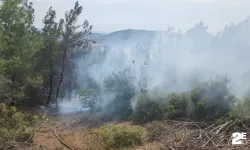 Gelibolu'da korkutan yangın!