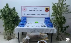 Jandarmadan uyuşturucu operasyonu