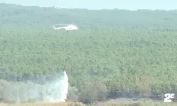 Korkutan orman yangını