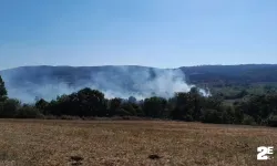 Korkutan yangın araziyi kül etti