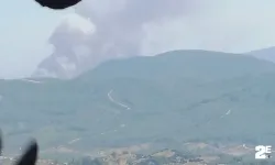 Ormanlık alanda yangın paniği