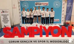 Badmintoncular derece yaptı