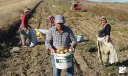 Çiftçinin yüzü sonunda güldü