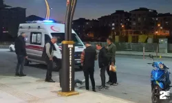 Kediye çarpmamak için canından olacaktı!