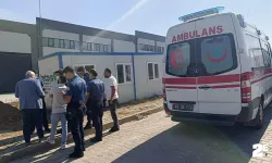 Kulübede ölü halde bulundu