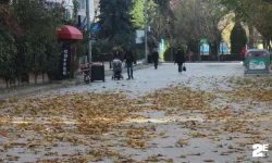 Eskişehir'de sonbahar güzelliği