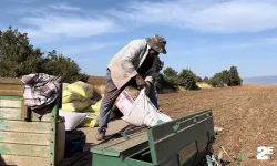 Kıraç tarım arazilerinde hububat ekimine başlandı