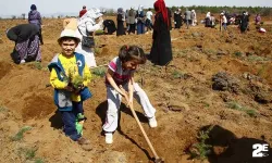 Milli Ağaçlandırma Günü’ne 60 bin fidan dikilecek