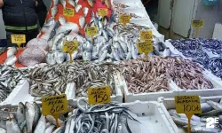 Kilosu 25 TL'ye düştü: Hamsi tezgahları şenlendi