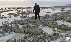 Kuraklık Van Gölü sahilini mikrobiyalit tarlasına dönüştürdü