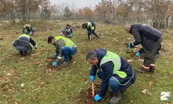 OEDAŞ’tan ikinci yüzyıla ‘hatıra ormanı’ mirası