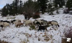 Toroslar'a kar düştü: Yörükler göçe başladı