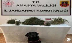Zehir tacirlerine 'Puslu' operasyonu