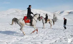 Asırlık gelenek cirit Erzincan ve Bayburt’ta yaşatılıyor