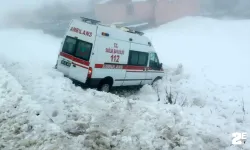 Buzlanma nedeniyle yoldan çıktı